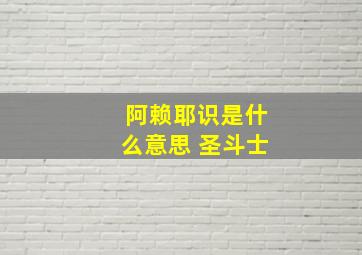 阿赖耶识是什么意思 圣斗士